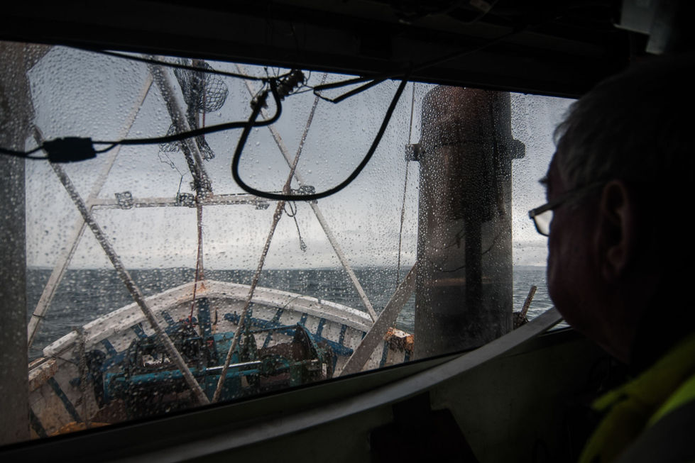 DSC_9564.jpg