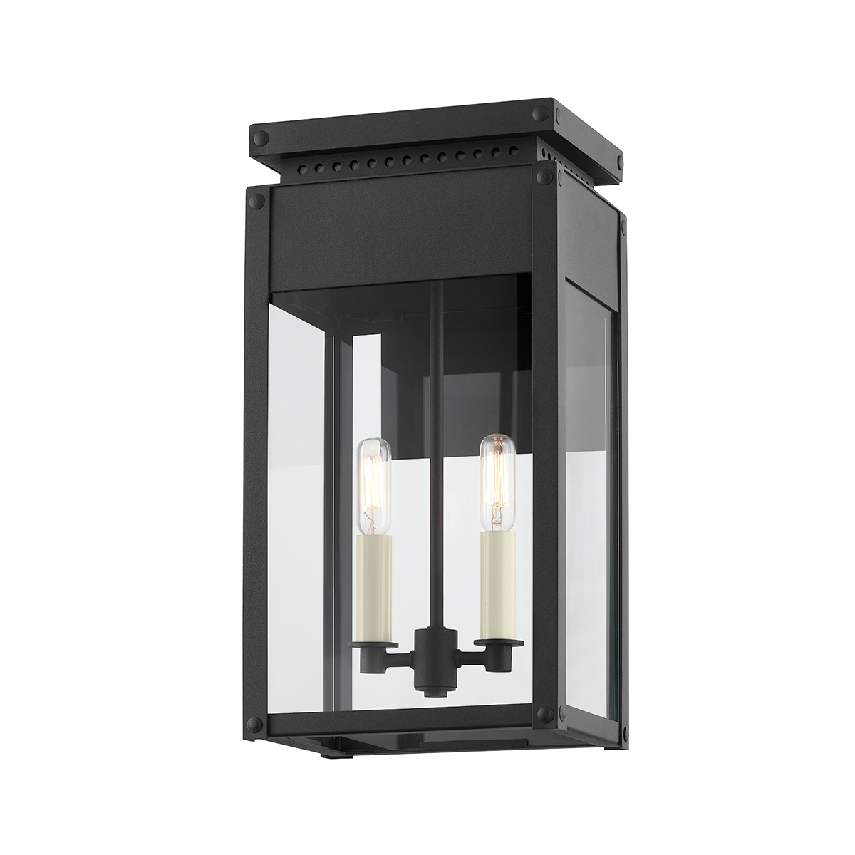 Braydan B8517-TBK BY Troy Lighting