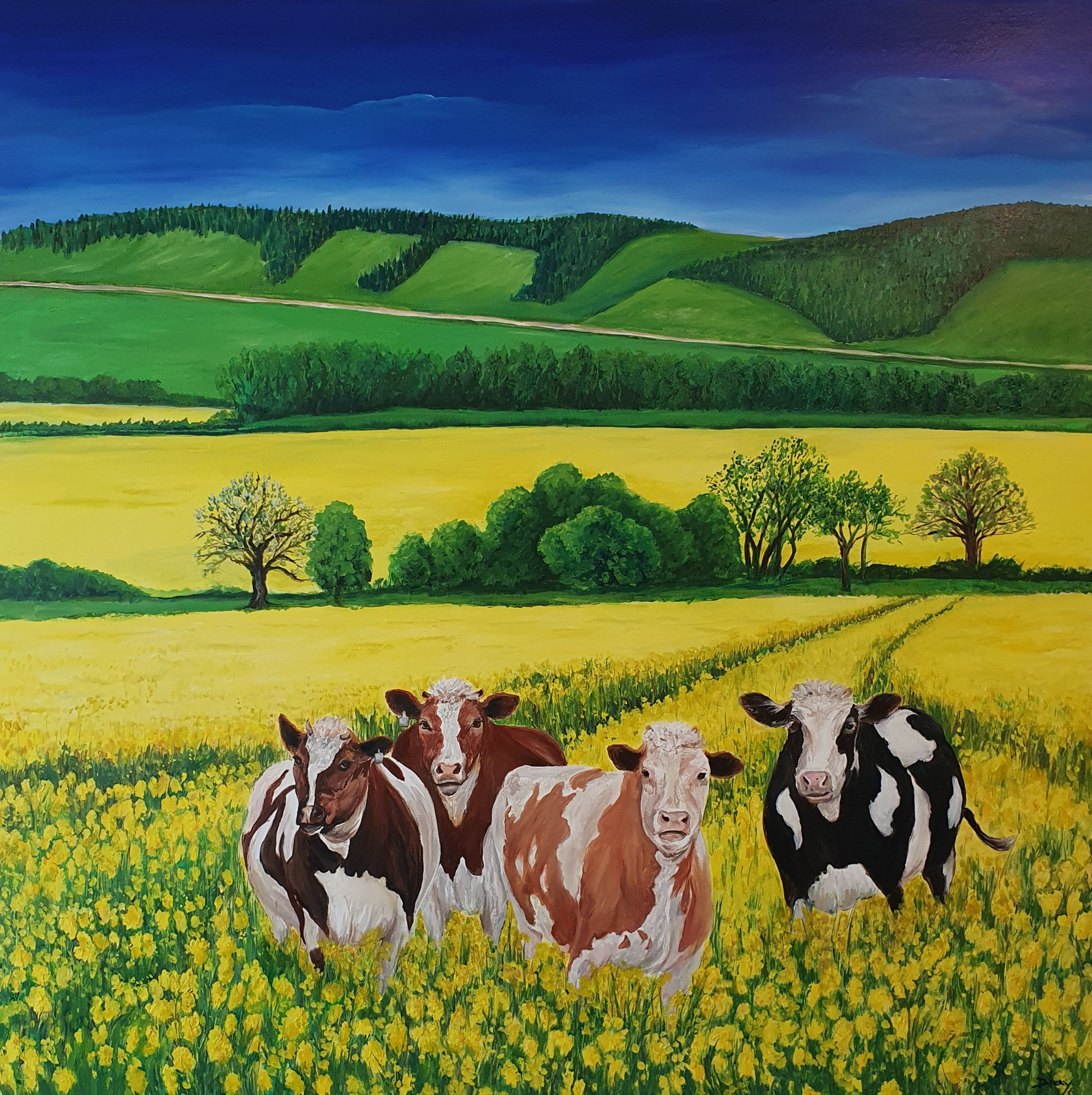 Country Road take me home where I belong