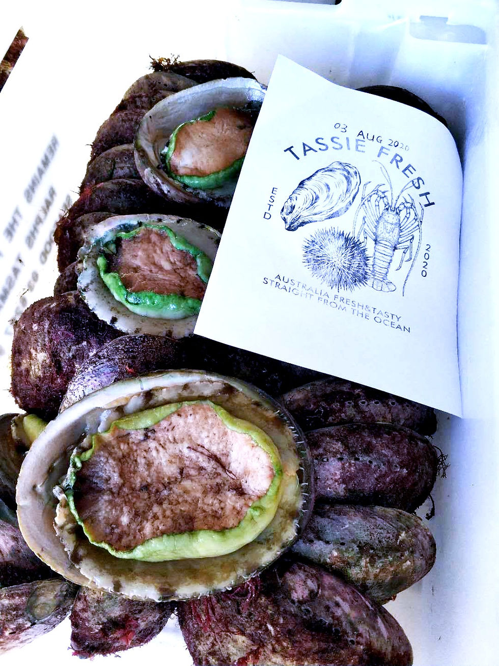 Thumbnail: 細-塔斯曼尼亞野生急凍青邊鮑(一份2隻）