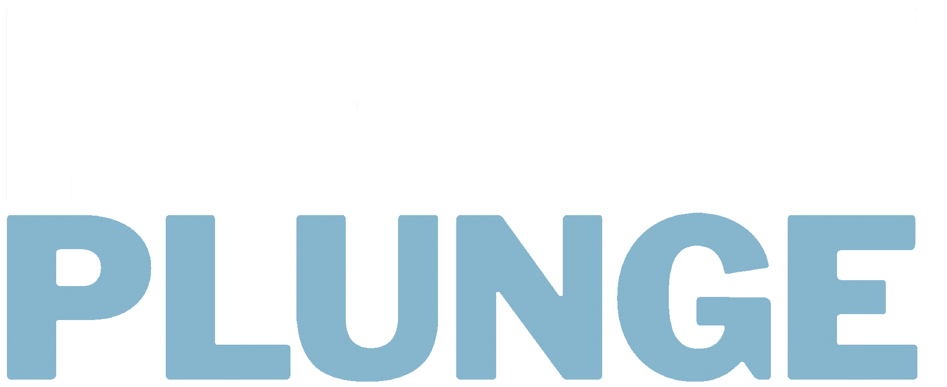 portal plunge drain.gif