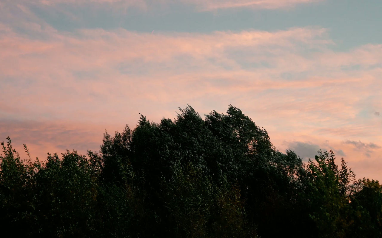 Portal Thermaculture