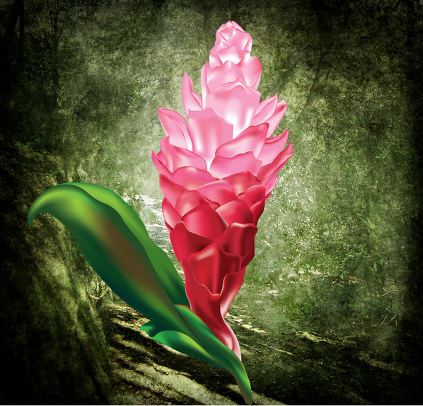 Tropical flower with pink petals