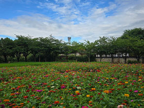 月尾岛传统公园