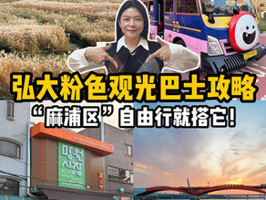 弘大粉色循环观光巴士攻略