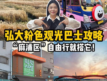 弘大粉色循环观光巴士攻略