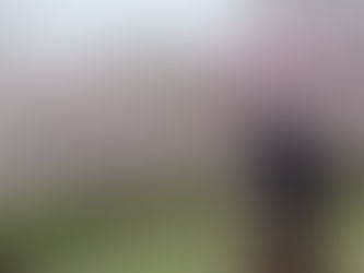 K2韩国私人团赏樱推介 