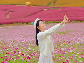 🎀《安城Farm Land 秋日限定花海|粉黛草+波斯菊+电动车🌾》