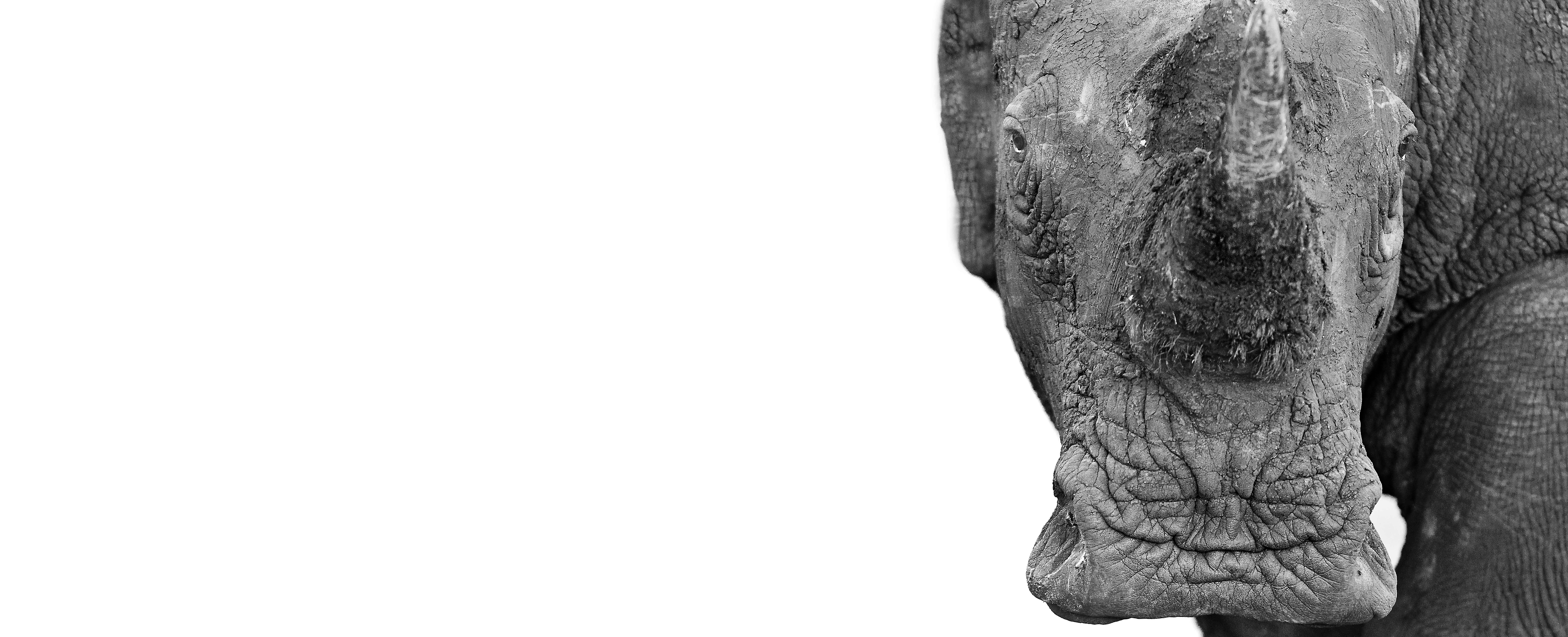 Aint No Place For A Hero