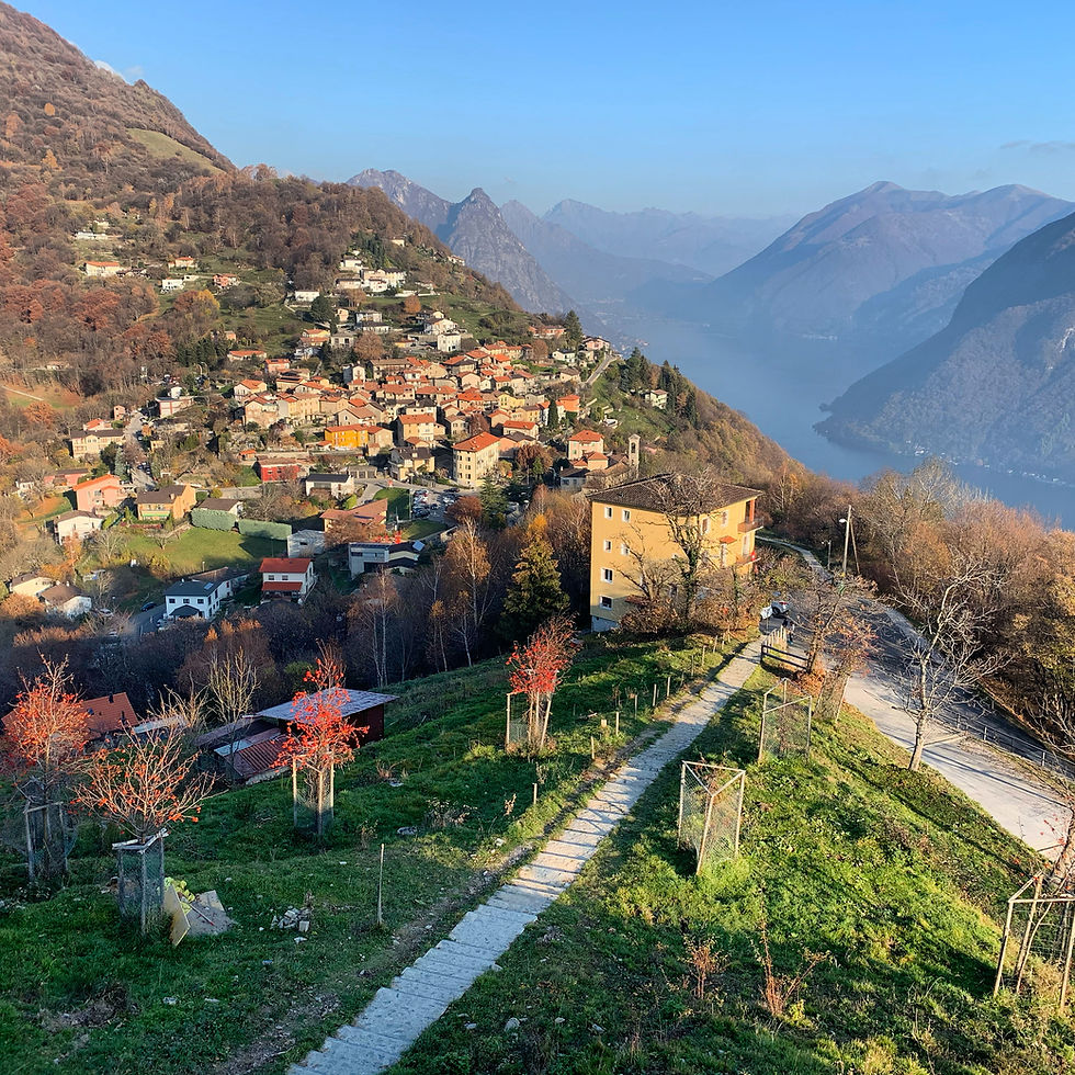 Panoramic View
