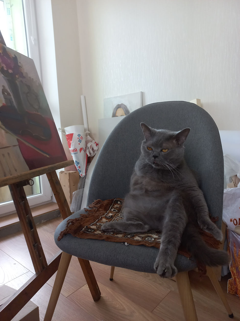                  Моцарт і мистецтво 