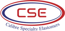 CSE Logo (1)_edited.png