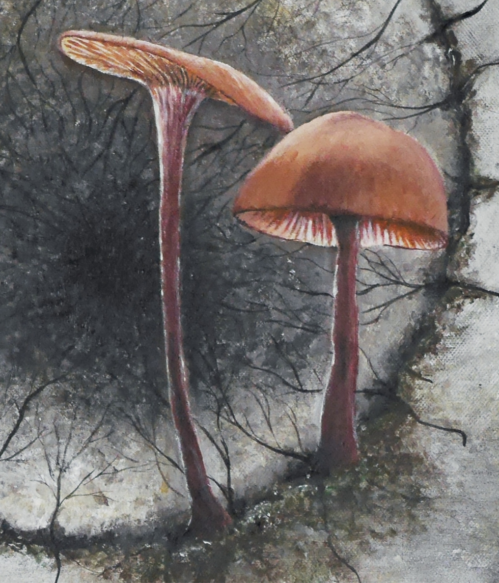 Thumbnail: Myzel | Mycelium