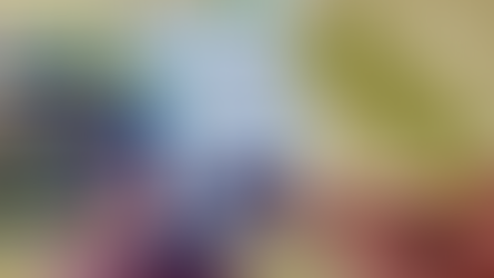 NOVA TELE SENA DE PAIS 2022