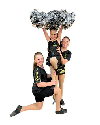 Untitled design (18)_edited.png