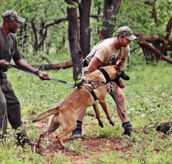 Justice bite training