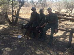 Bryce Clemence head of security