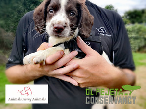 Meet the newest addition to ASA 'Drum'
