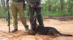 Polaris about to go on patrol