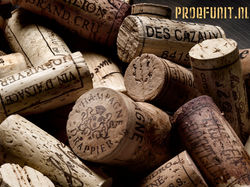 Proefunit