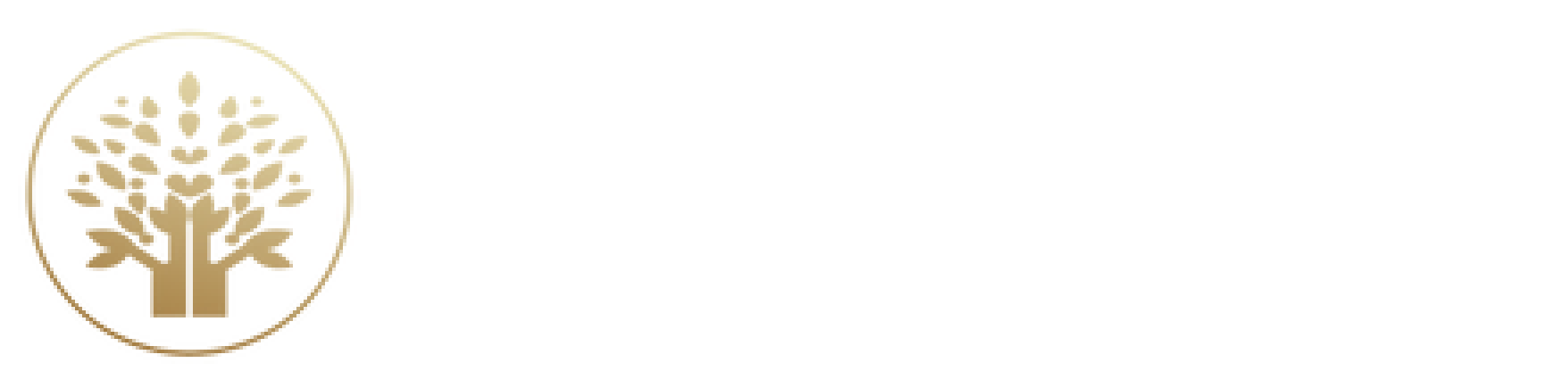 Group 24.png