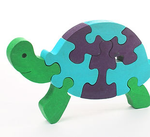 Turtle Puzzle Toy_edited.jpg