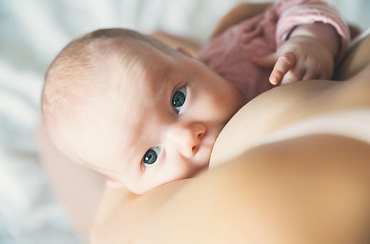 AdobeStock_178884485.jpeg