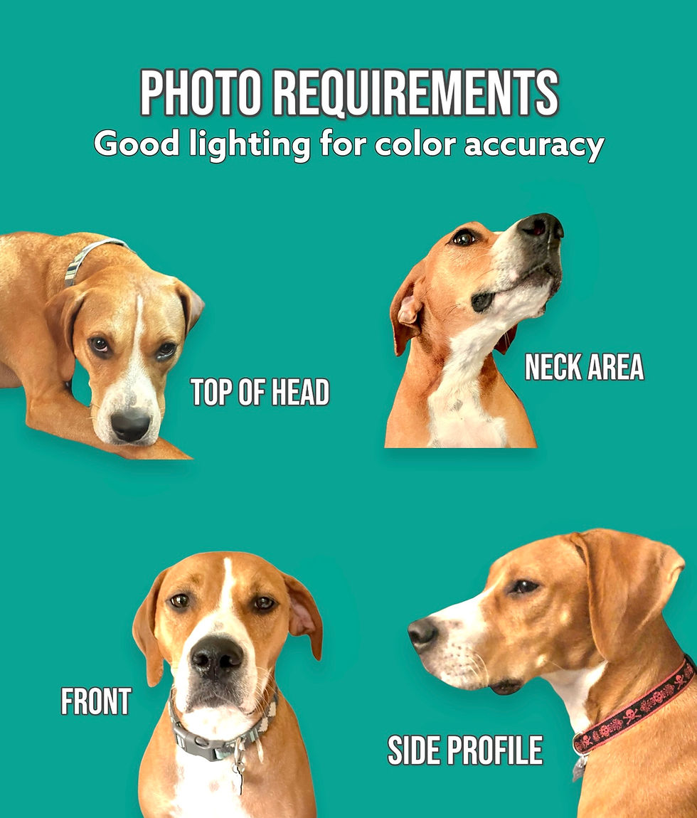 Thumbnail: Mini CUSTOM Dog Portrait