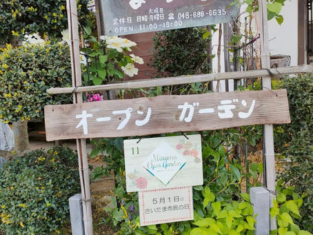 【隠れた見沼区の魅力発見しちゃいました菓子工房まーぶるさん】