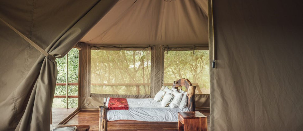tent.jpeg