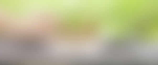 How can I guarantee my event ROI delivers the best results?