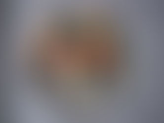 An Experience up in Smoke.