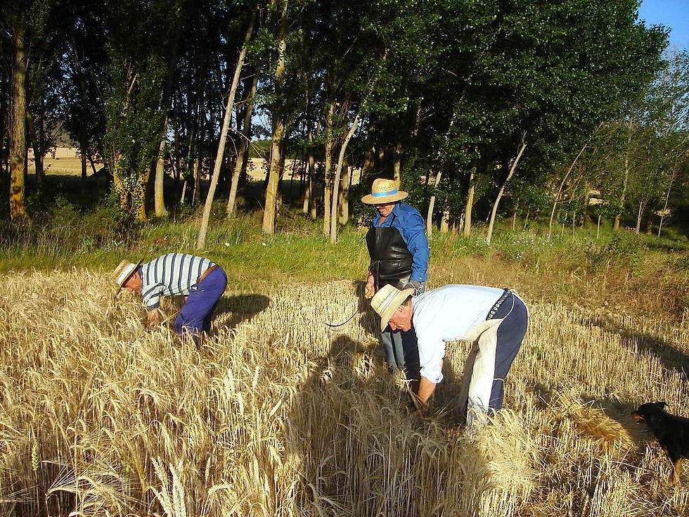 Modo de vida y Costumbres
