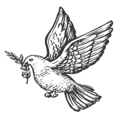 AdobeStock_546023113_3_edited.png