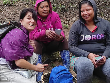 Nicaraguan Journey – Seeing, Tasting, and Feeling Coffee at its