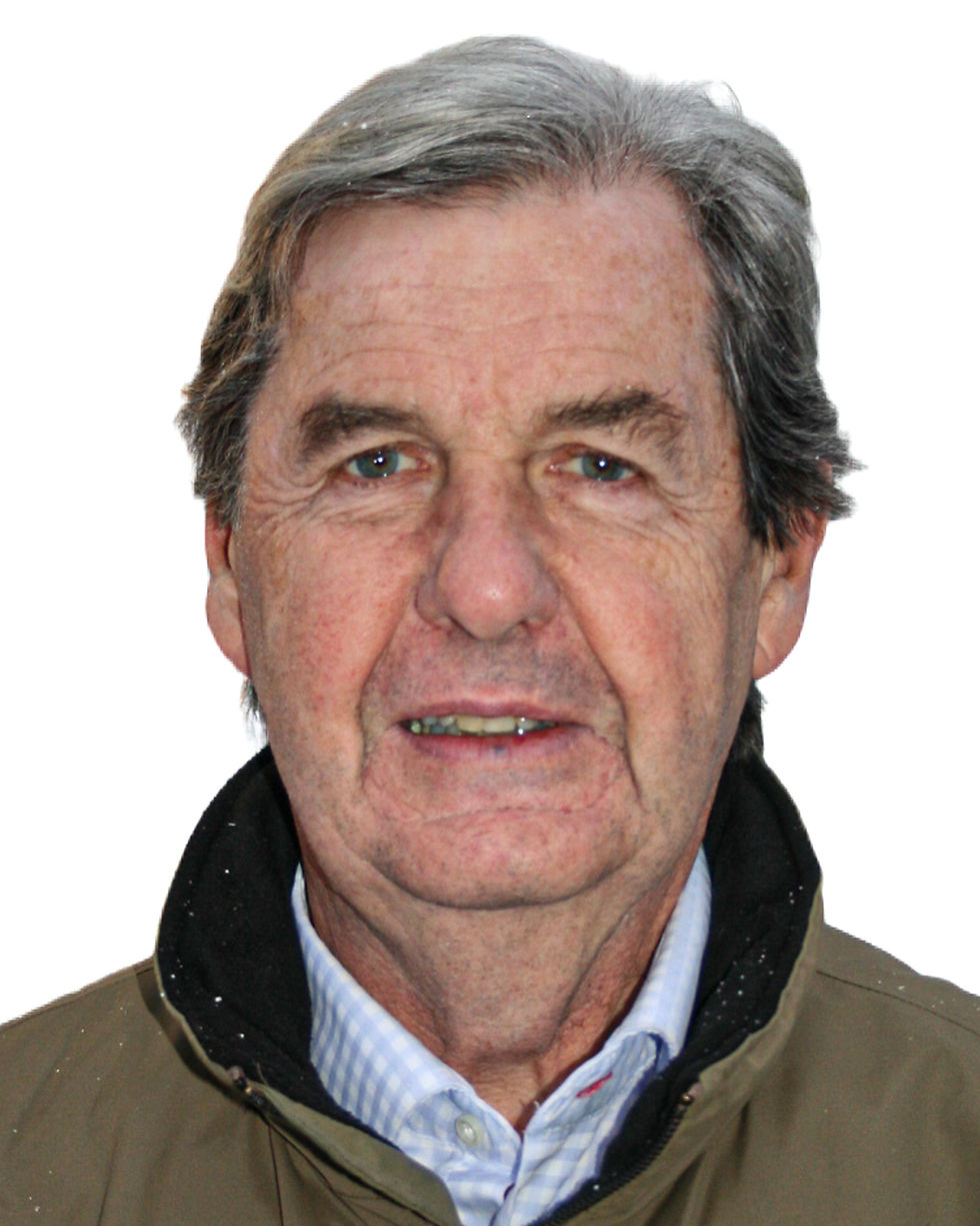 In Memoriam 1041 Hans Christian Magnus