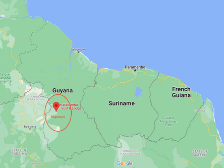 The Rupununi