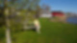 20260501-P5011017.jpg