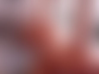 Fantastiske Tsjekkia!