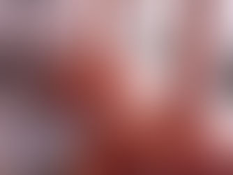 Fantastiske Tsjekkia!