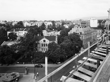 Dette visste du neppe!