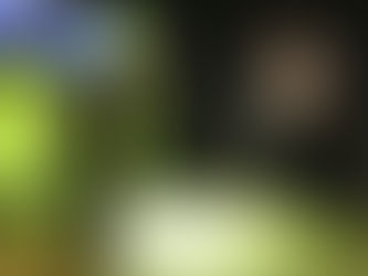 Vellykket vinterstart for TC Golf Team