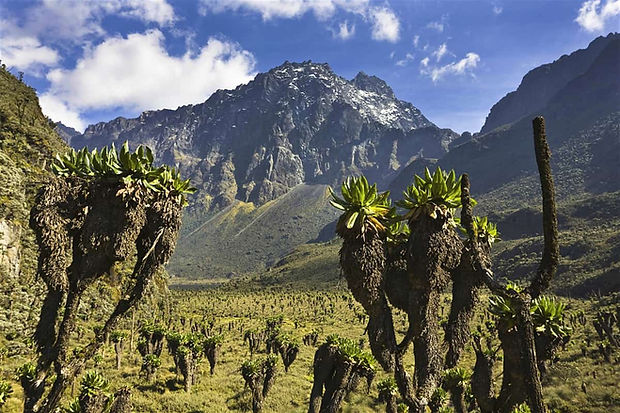 Rwenzori-Mountains-National-Park.jpeg
