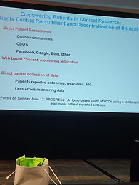 image_6483441 (3).JPG