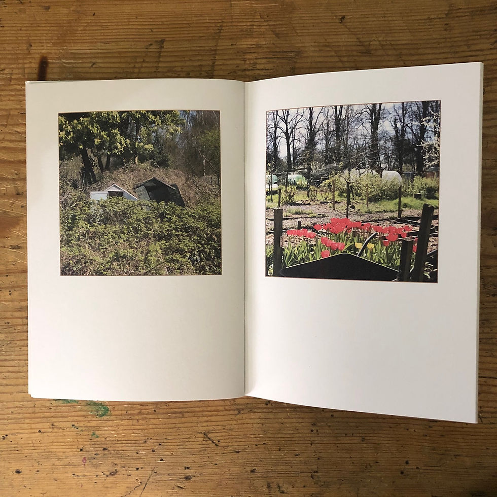 Thumbnail: On Allotments photo zine