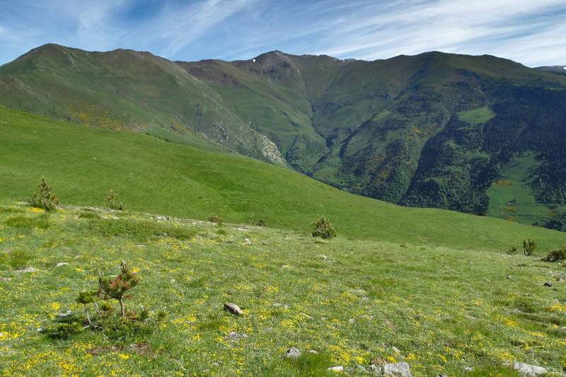 Olla del Catllar: ruta circular per la serra del Catllar des de Tregurà de Dalt (Ripollès)