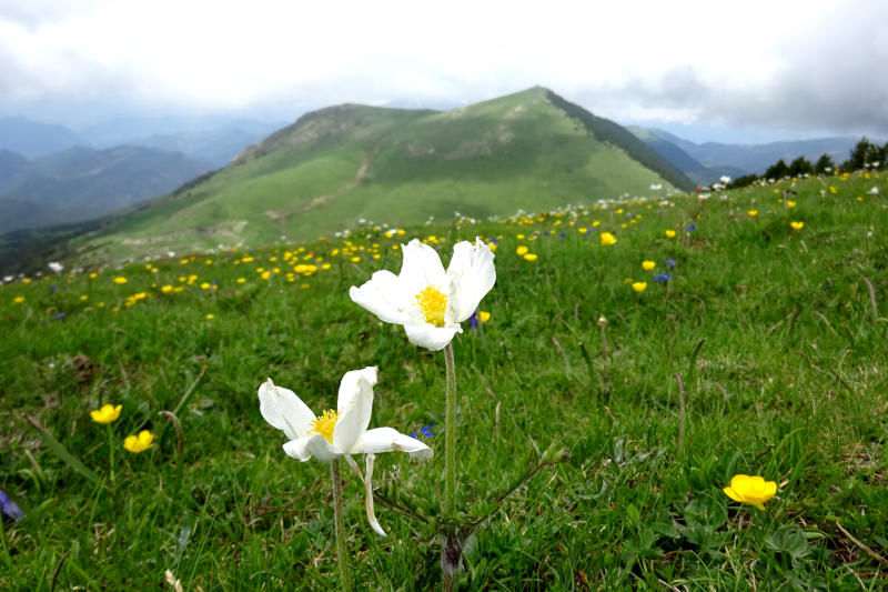 Costa Pubilla per la baga de Campelles