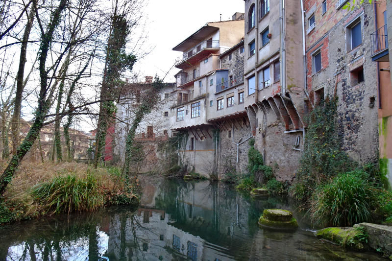 Flora dels gorgs del Brugent