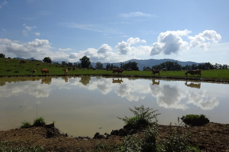 Excursió al castell de Besora