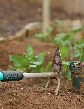 Gardening Rake  